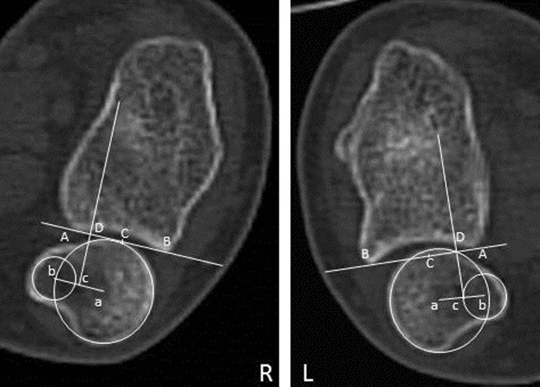 Fig. 5