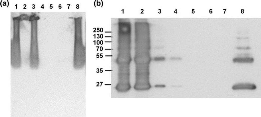 Fig. 11