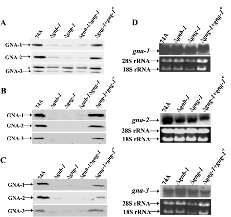 FIG. 5.