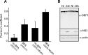 FIG 3