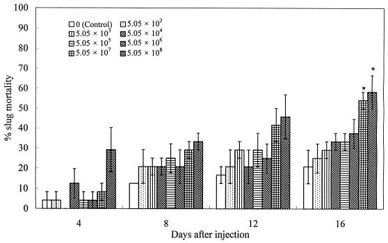 FIG. 1