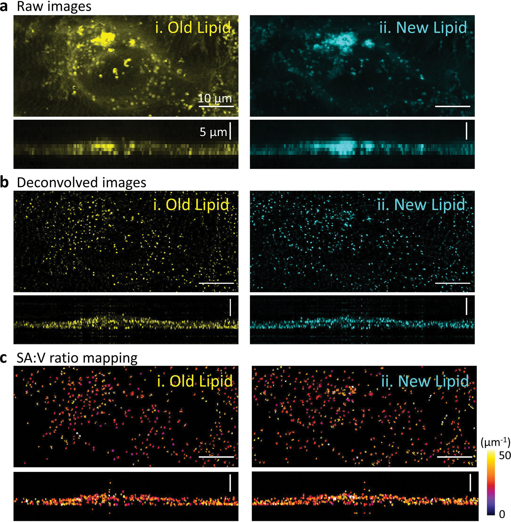 Extended Data Fig. 5 |