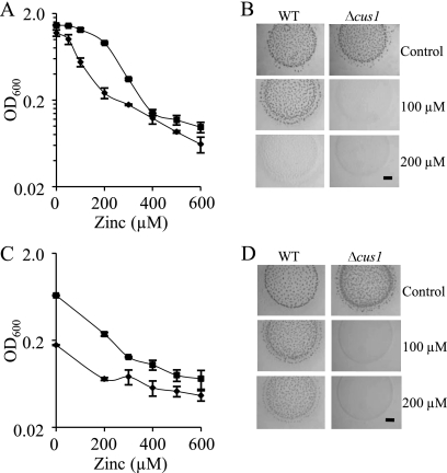 FIG. 7.