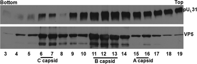 FIG 1