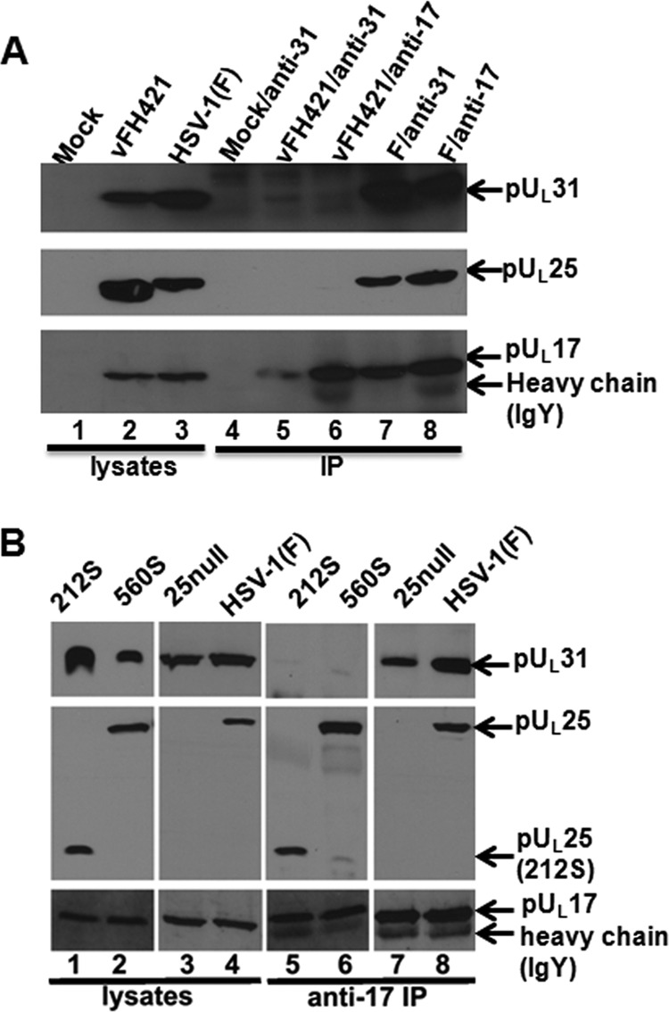 FIG 9