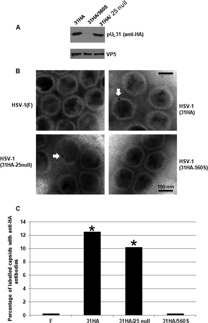 FIG 7