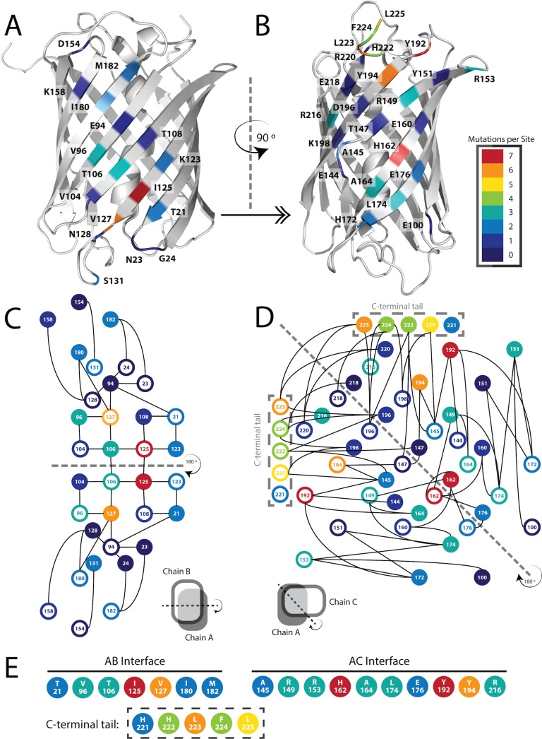 Fig 3