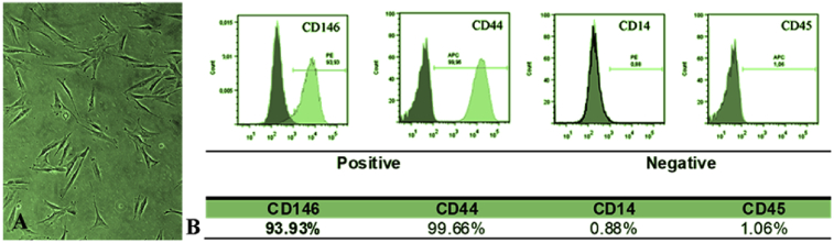 Fig. 2