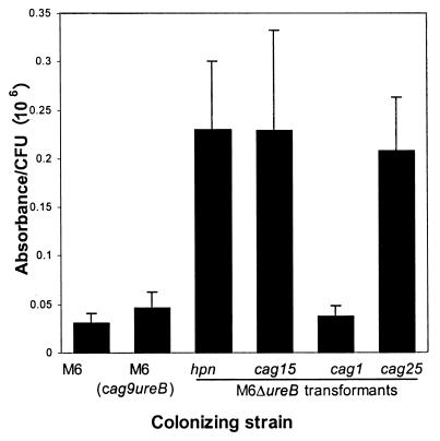 FIG. 4.