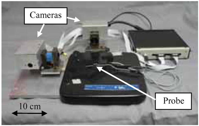 Fig. 3