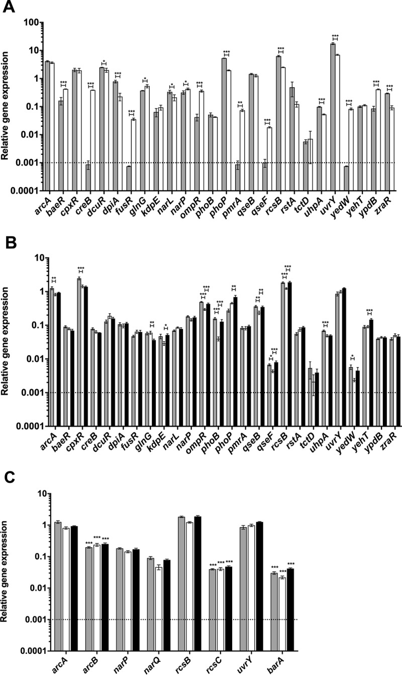 FIG 1