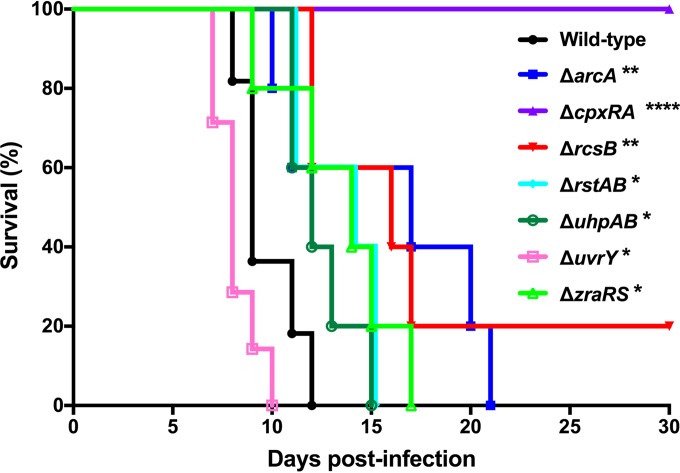 FIG 2