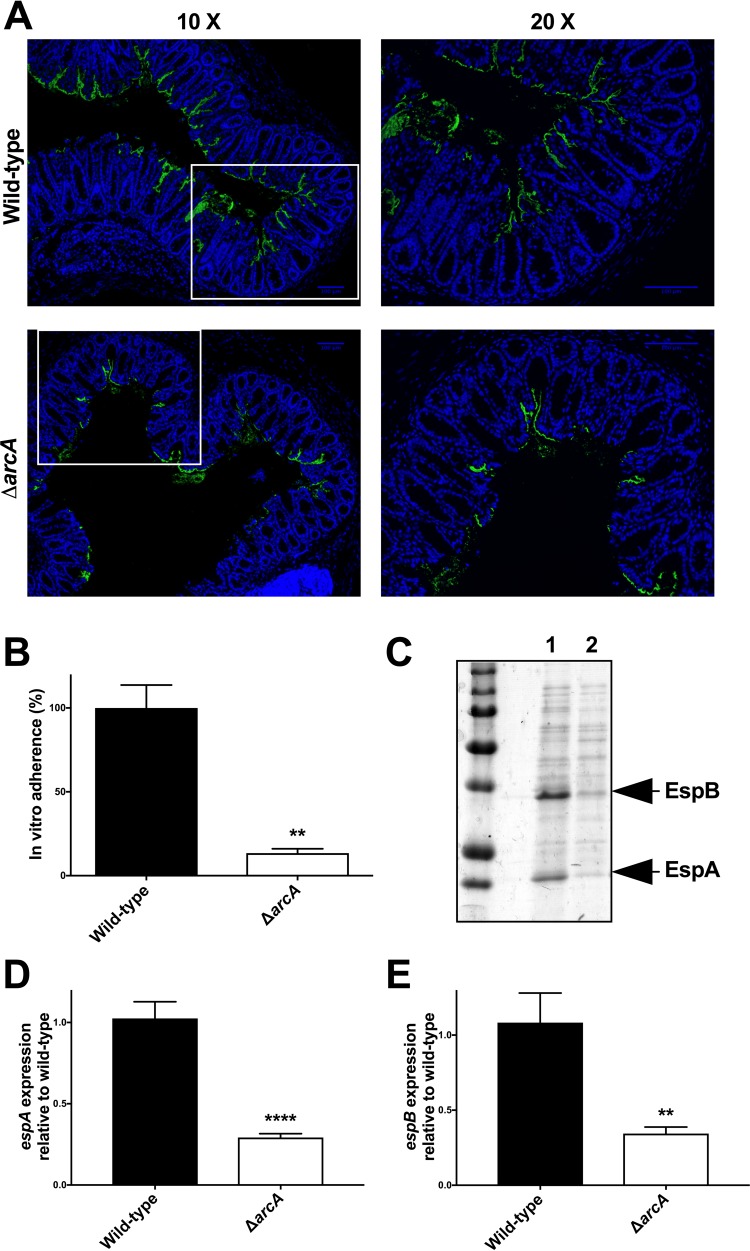 FIG 4