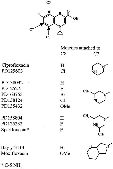 FIG. 1