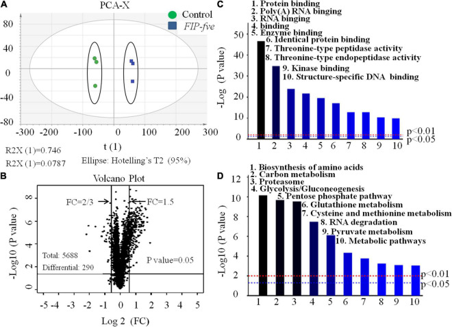 FIGURE 4