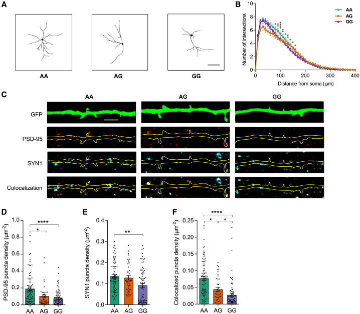 Figure 4