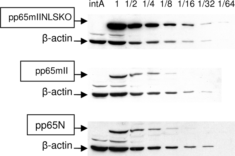 FIG. 3.