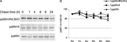 FIG. 5.