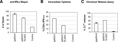 FIG. 9.