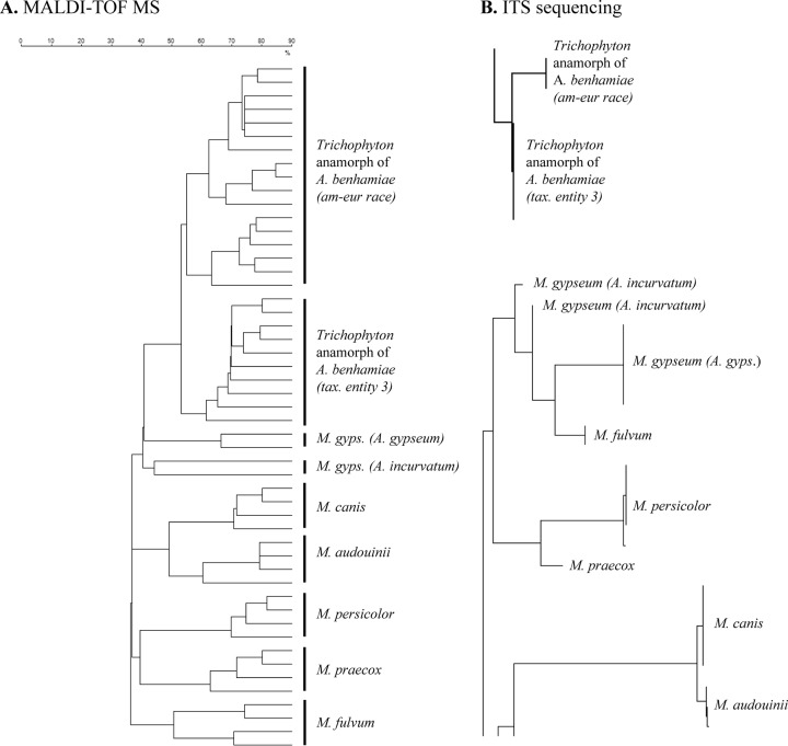 FIG 1