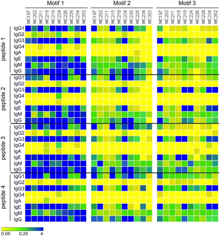 Fig 6