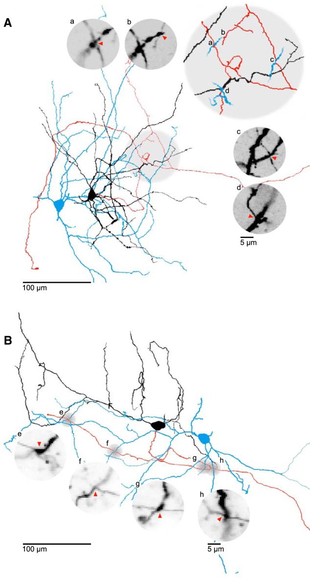 Figure 3.