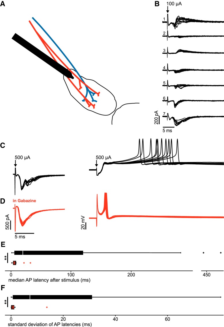 Figure 5.