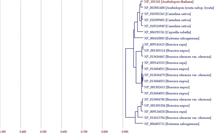 Figure 4.