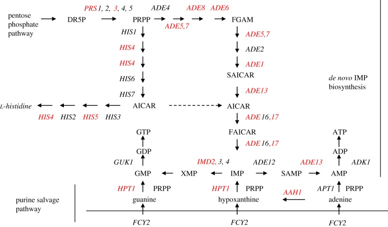 Figure 4.