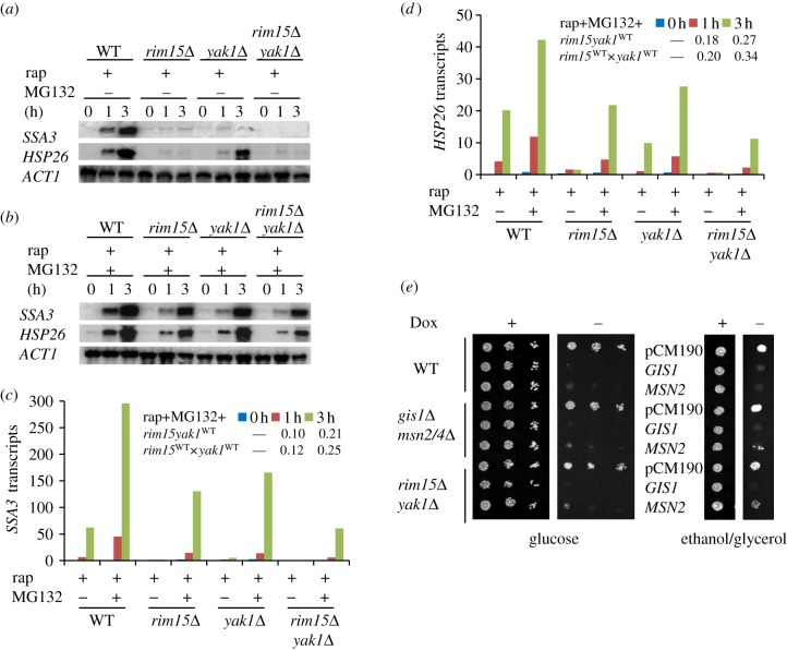 Figure 6.