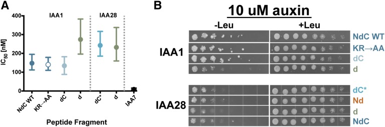 Figure 5.