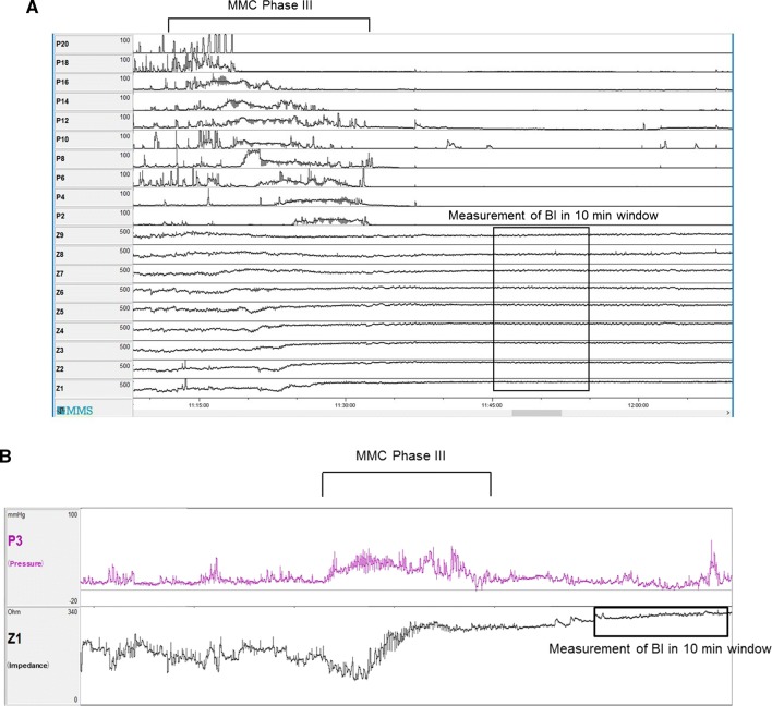 Fig. 3