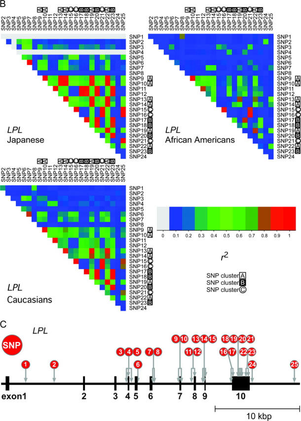 Figure 2.—