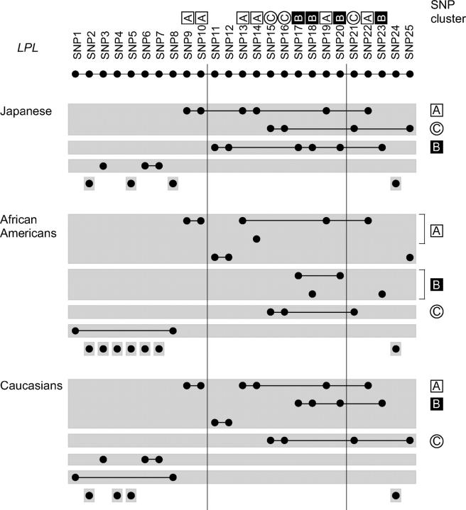 Figure 3.—