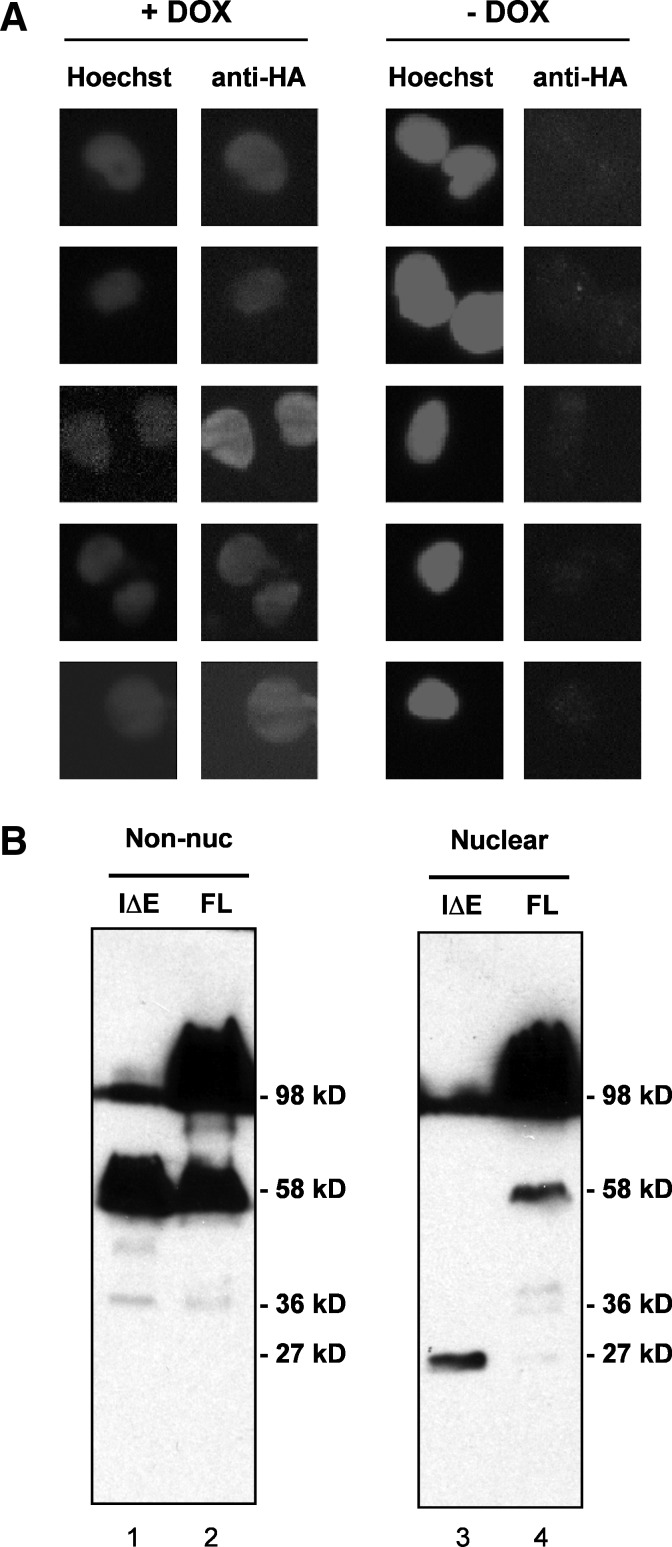 FIG. 11.