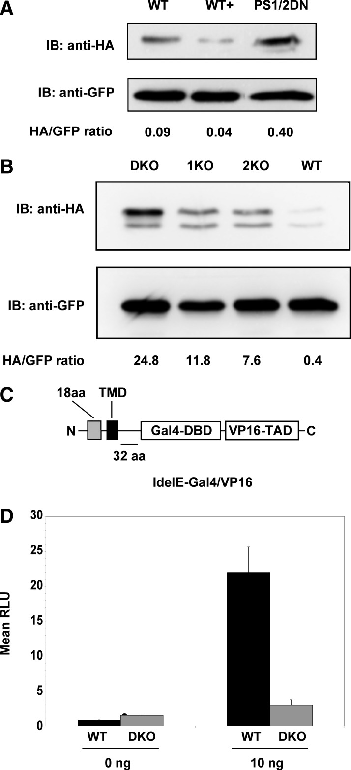 FIG. 12.