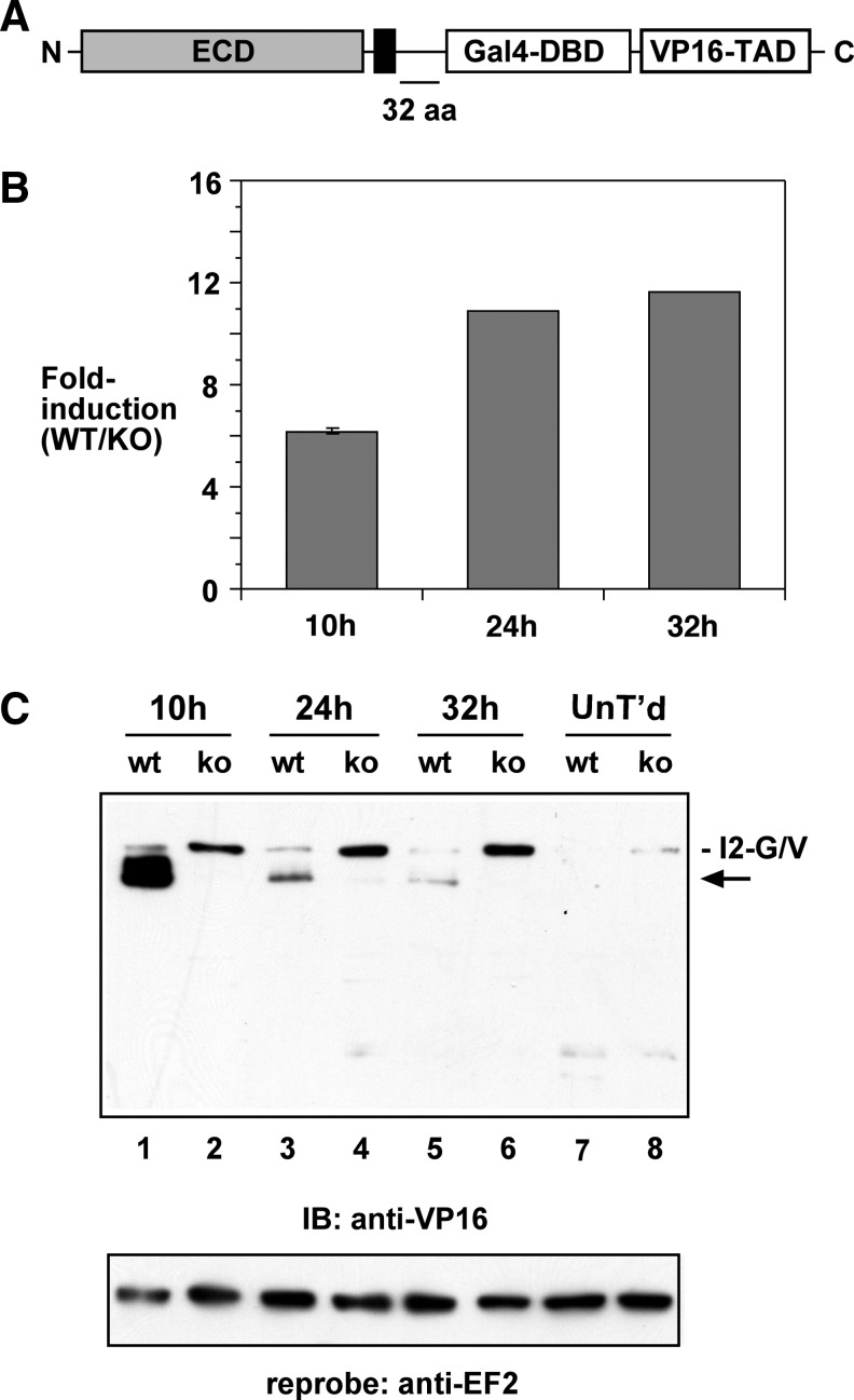 FIG. 5.