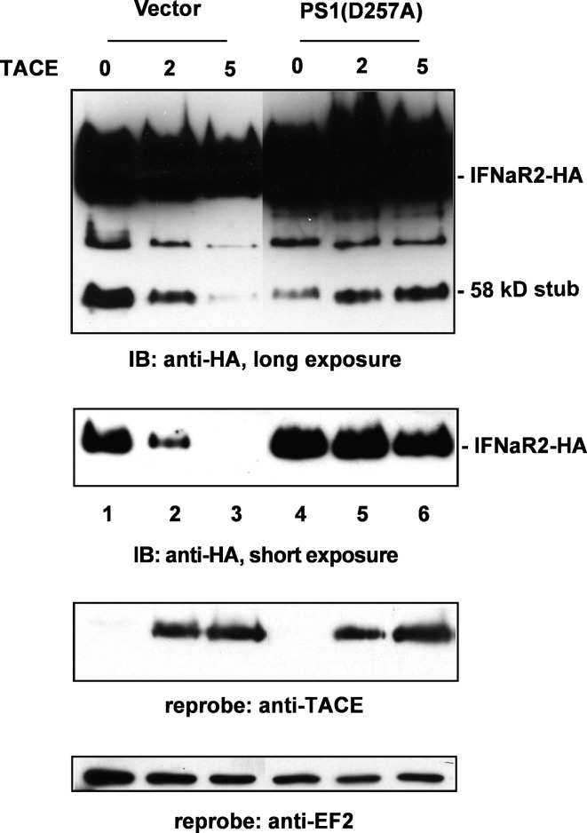 FIG. 9.