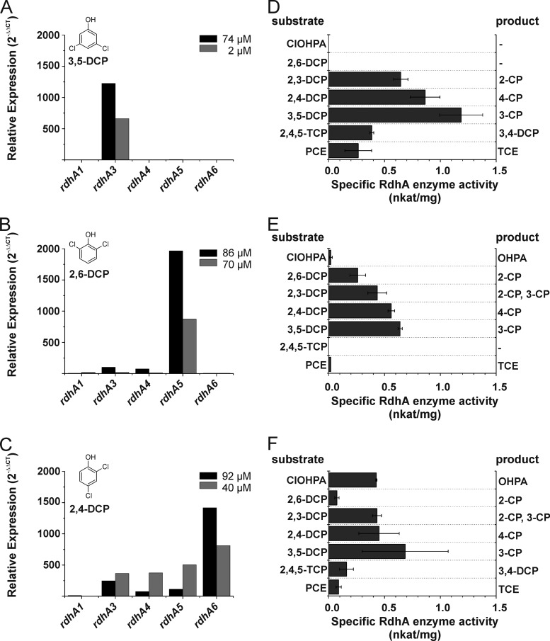 FIG 3