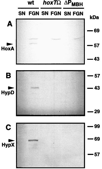 FIG. 5