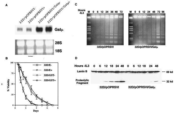 FIG. 8.