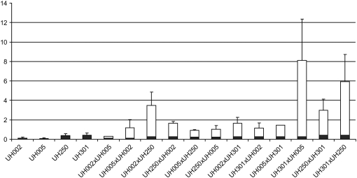 Figure 4.—