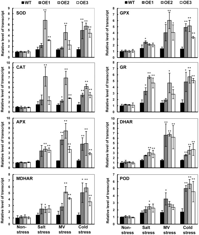 Figure 7