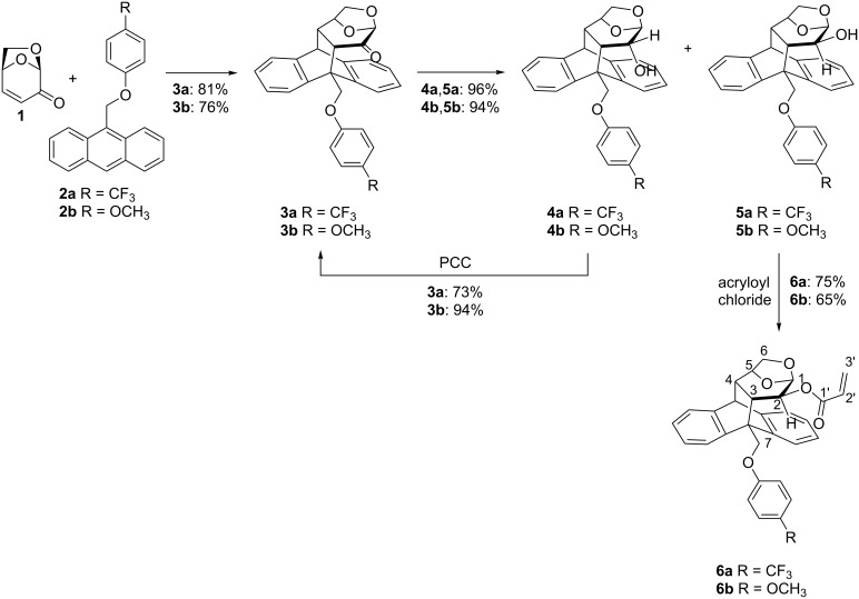 Scheme 1