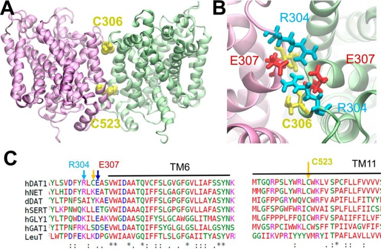 Figure 6.