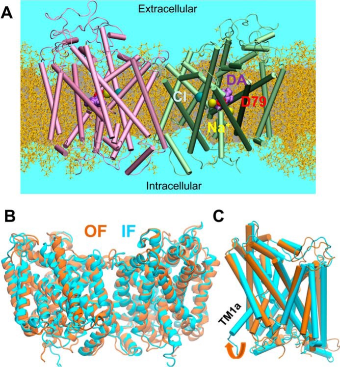 Figure 3.