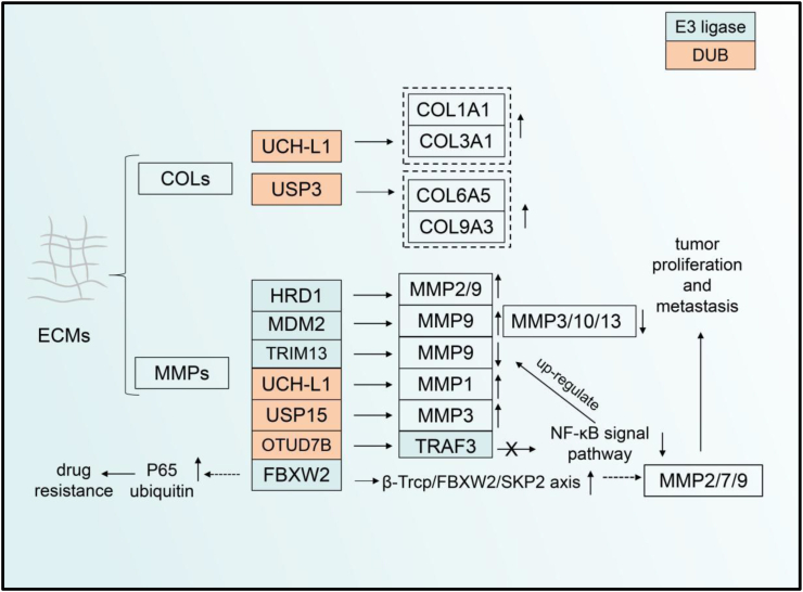 Fig. 5