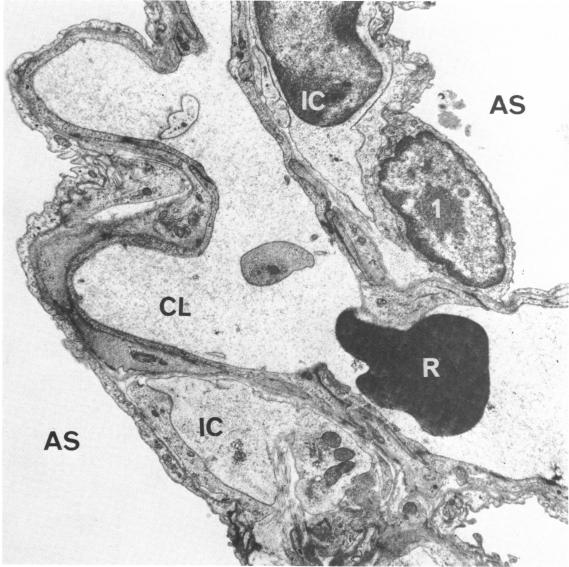 FIGURE 15.