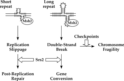 FIG. 8.