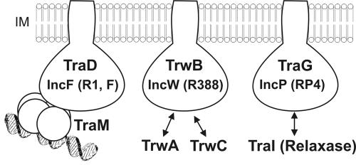 FIG. 6.